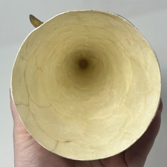 Pier 1 Capiz Poinsetta Angel christmas holiday tree topper - Picture 8 of 10